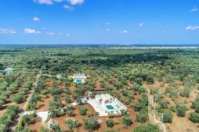 Nid D'Amour by Miani Group