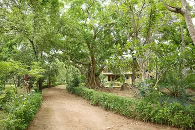 Image de UpiesFolly Lakeside Bungalow