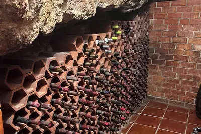 Image de Enjoy a rural house with a wine cellar and a lot of leisure!