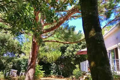 Image de Villa 8 pers. avec 2 logements autonomes 150 m de la plage & 300m du centre🐶🌳