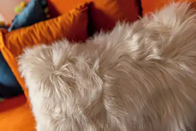 Image de Botanical House Juniper Suite