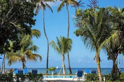 Image de LimeTree Resort Studio w Kitchen