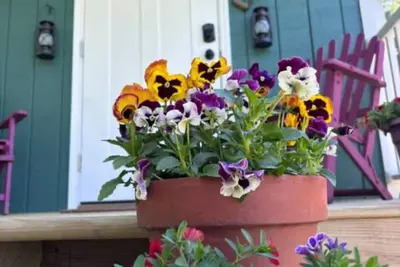 Image de The Greenhouse - New River Gorge National Park