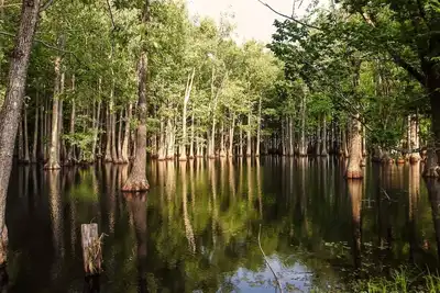 Image de Modern Oceanside Retreat Near Beaches & Downtown!