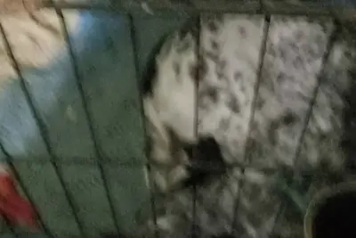 Image de Adorable 1-bedroom farmhouse in Truxton with WiFi access