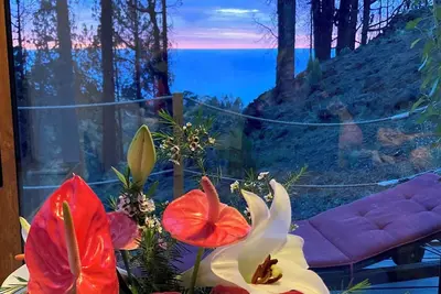 Image de Bodega Linda Puntagorda, tranquility and nature, ideal for couples.