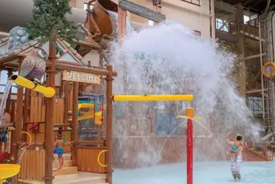 Image de Great Smoky 2br w Free Waterpark Access