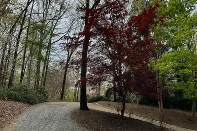 Image de Charming 4-bedroom timber-frame house with Ac and WiFi in Campobello.