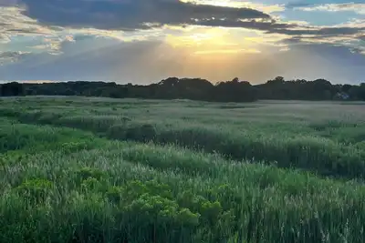 Image de Stunning Sunsets & Coastal Charm in Milford!