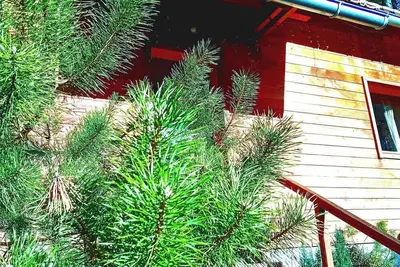 Image de Domaine les lodges nature, private wellness, chalet de luxe en pleine nature