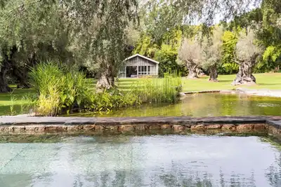 Image de Superbe Mas Provencal dans un jardin d'Oliviers Millénaires