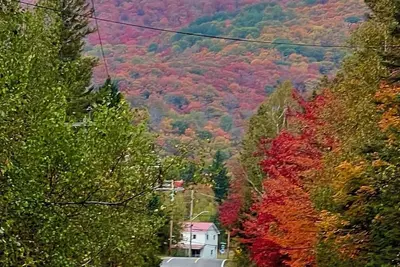 Image de Havre de paix, aimants de la nature, bienvenus au Chalet au toit vert!