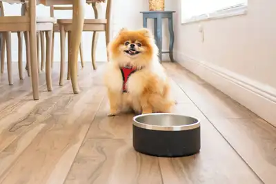 Image de Breezy Beach Bungalow, only 5 minutes from the coast!