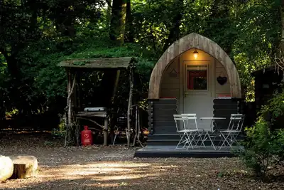 Image de Cosy Daisy Glamping pod in secluded woodland setting