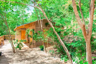 Image de Aika Sunrise: Treetops Apartment
