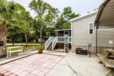 Image de Steinhatchee clean and quiet scalloping fishing 1