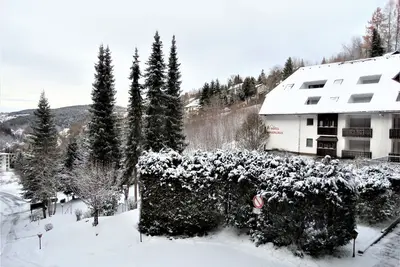 Image de Appartement 'Bergblick' avec balcon et Wi-Fi