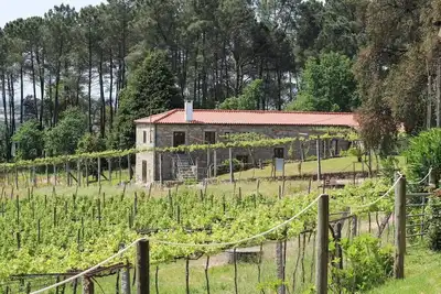 Image de Casa de Montariol - Solar das Bouças by Quantique