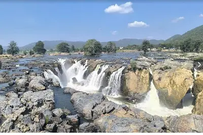 Image de Manohar farm stay | Boating | Fishing | Oil Massage | Fire Camp