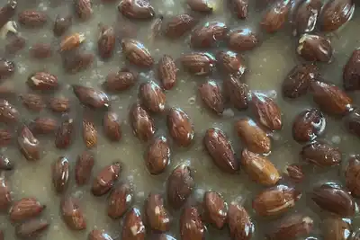 Image de Charming 4-bedroom house with Ac, WiFi in wonderful Chicago