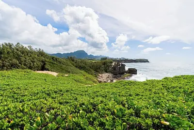 Image de Experience a lively stay at our hotel in Portland, Oregon