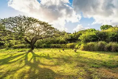 Image de Cool Place to Stay in Downtown Portland, Oregon