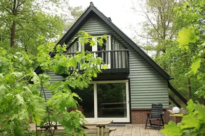 Image de Refuge forestier avec cheminée