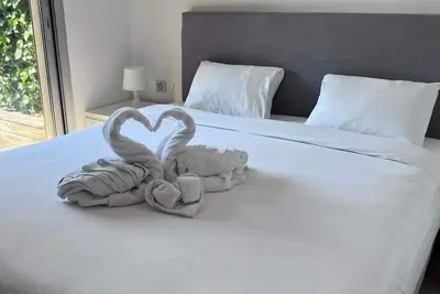 Le Bijou de Valrose - 4 Chambres avec Piscine