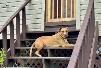 Image de Charming 2-bedroom cottage in peaceful Schroon Lake with WiFi, Ac, dogs welcome