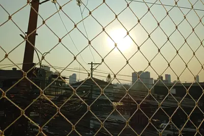 Image de Mario Mourão 23