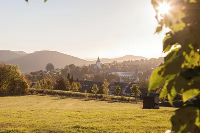 Image de Stay at Am Südhang 27 Winterberg: a charming holiday home within walking distance of the center and ski area. Perfect for an active or relaxing holiday!