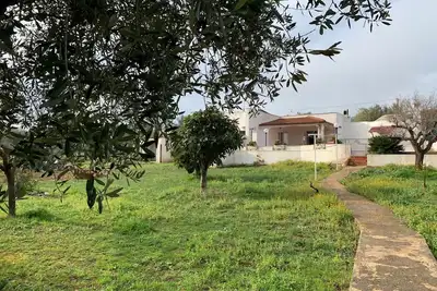 Image de The Trullino of Vallegna