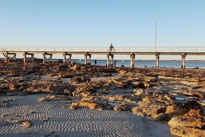 Image de Gallery on Ryan. Historic villa in the town centre, accomodation for 10 guests.