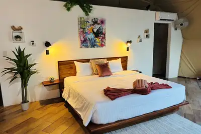 Image de The Macaw | Unique 8m Dome near Beach, Isla Tortuga, Bioluminescence, Curu