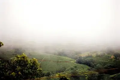 Image de Escape To Serenity, Vagamon's Hidden Gem: Luxurious Poolside Haven.