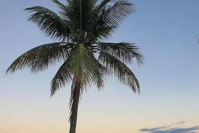 Image de House to relax in the wonderful nature of Angra dos Reis