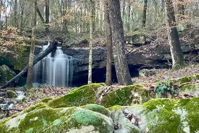 Image de Antique log cabin with waterfall and 360 degree views of beauty!