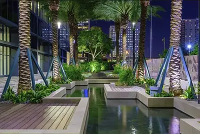 Image de \t\nMiami Spring Breakers Luxury