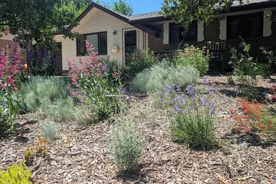 Image de Quiet neighborhood. Easy walk to restaurants, shops, parks, trails, buses, etc.