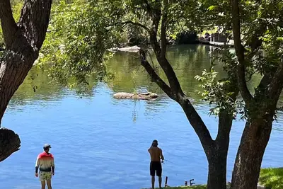 Image de Shaded riverfront getaway. Dog friendly