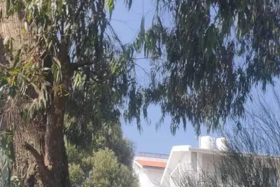 Image de Bon Sejour Ooty Hill View Resort & Hotel