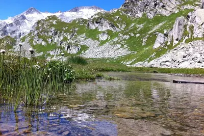 Image de Confortable appartement pour 4 personnes avec Wifi, Tv, patio et animaux admis