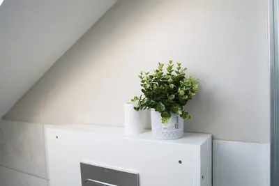 Image de Mandeville Guest House