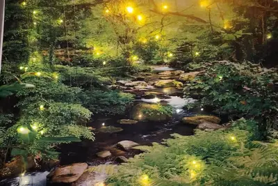 Image de Yogi's Nature Stay 2 beds spa shower Chautauqua Lake, Jamestown