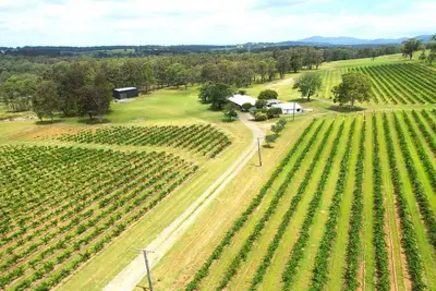 Image de 'Vineyard Escape Farm Stay'