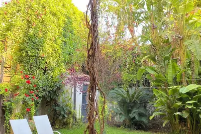 Image de Volta House