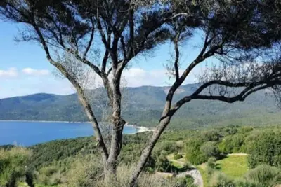 Image de Villa 4 à 5 pers T2 climatisée dans résidence vue mer *** piscine chauffée.