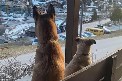 Image de Charmant appartement rénové terrace plein Sud