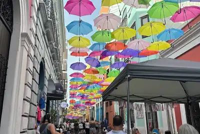 Image de Walking Distance To Everything