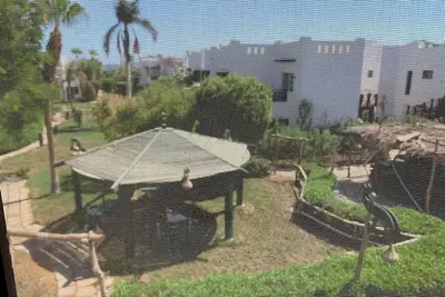 Image de Delta Sharm Resort